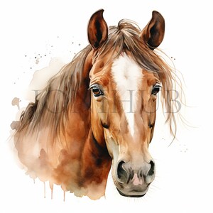Clipart cheval brun | 10 fichiers JPG de haute qualité | Téléchargement numérique | Clipart animaux | Illustrations de chevaux | Graphiques équins | Oeuvre d'art imprimable