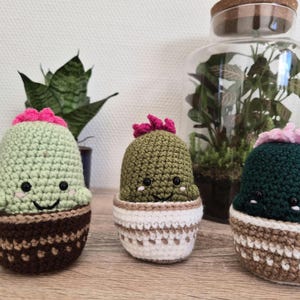 Peut inclure: Trois figurines de cactus au crochet. Les cactus sont verts, vert olive et vert foncé, chacun avec une fleur rose. Les pots sont marron et blancs, avec des visages souriants. En arrière-plan, un terrarium et une plante en pot.