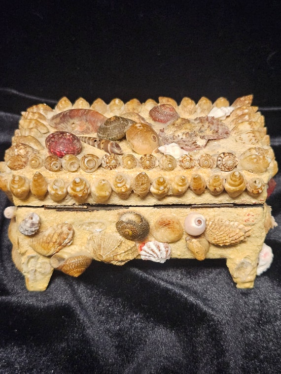 Vintage Seashell Encrusted Jewelry Box with Red In