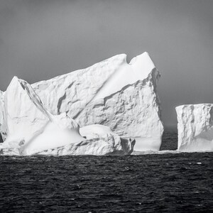 May include: A black and white photograph of two large icebergs floating in the ocean. The icebergs are tall and jagged, with a variety of shapes and sizes. The ocean is calm and the sky is overcast.