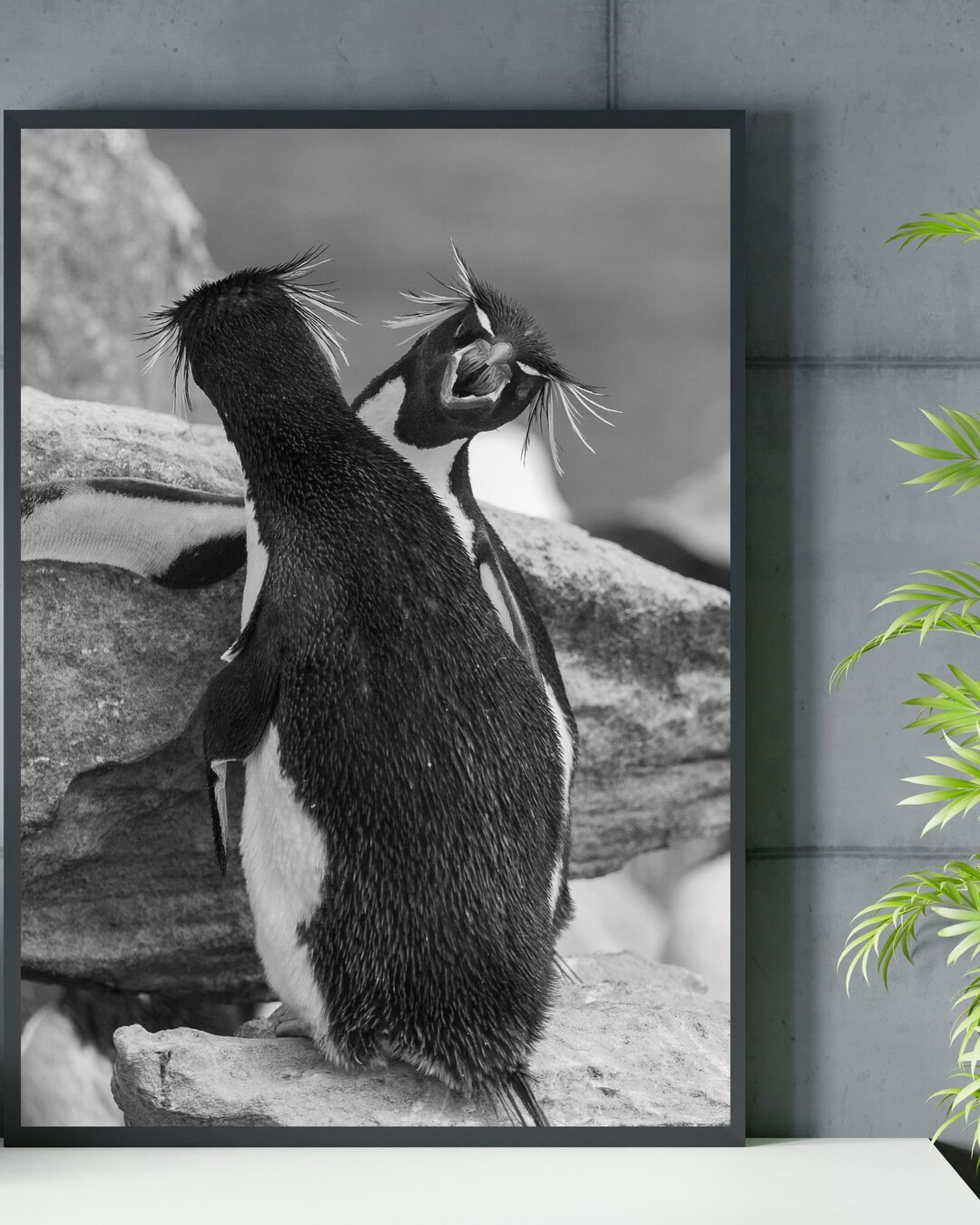 Rockhopper Penguins - Antarctica Wildlife Gift - Penguin Print - Digital Printable Download ...