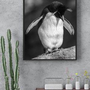 Rockhopper Penguin Antarctica Wildlife Gift Penguin Print Digital Printable Download Wall Art ...