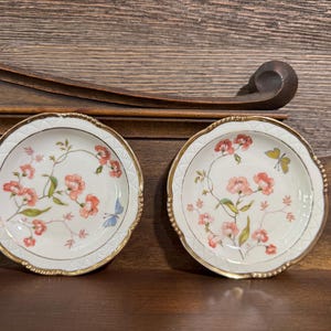 Antique Mitterteich Bavaria Porcelain Dish with Floral Design Gold Trim, Handpainted, 4.5", Plate Wall Decor, Includes 2 Plates