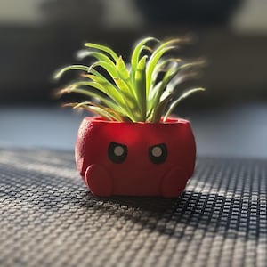 Cute Planter Pot, Planters with Faces, Small & Unique Plant Pot, Indoor Flower Pot with Expressions, Perfect Gardening Gift for Mom