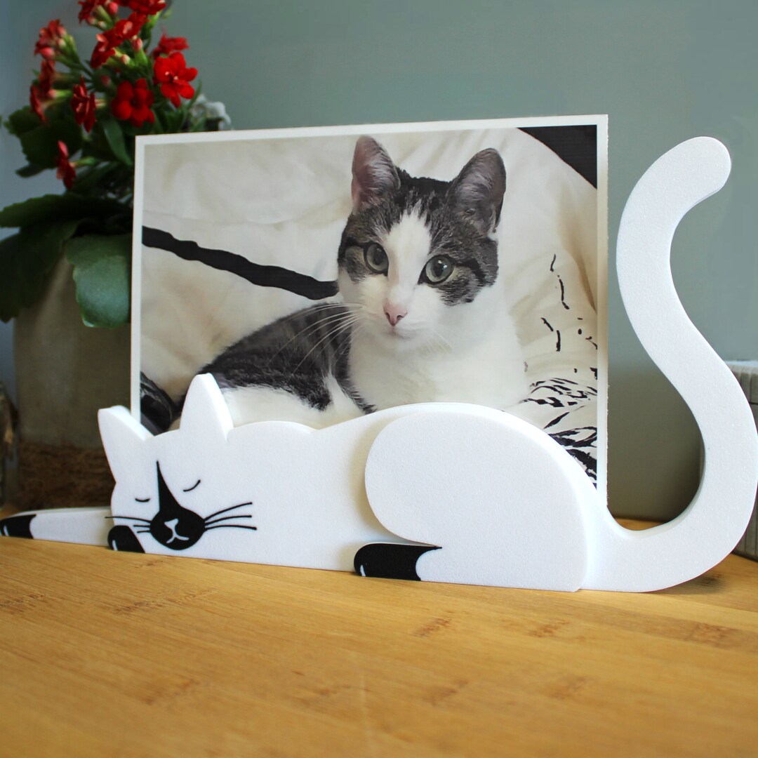 Cat Memory Photo Frame Magnetic Cat Photo Holder for Your Favorite Pictures - Etsy