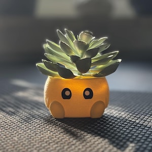 Cute Planter Pot, Planters with Faces, Small & Unique Plant Pot, Indoor Flower Pot with Expressions, Perfect Gardening Gift for Mom