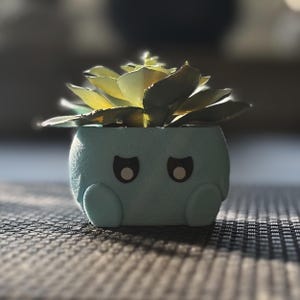 Cute Planter Pot, Planters with Faces, Small & Unique Plant Pot, Indoor Flower Pot with Expressions, Perfect Gardening Gift for Mom