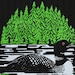Loon Poster Screenprint - Etsy
