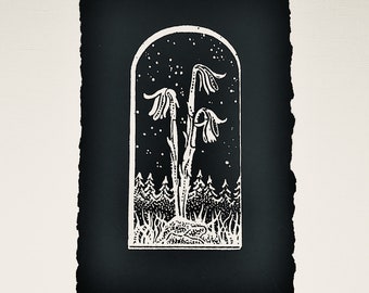 Ghost Pipes Art Print Screenprint Mushrooms Flowers black and white 5x7