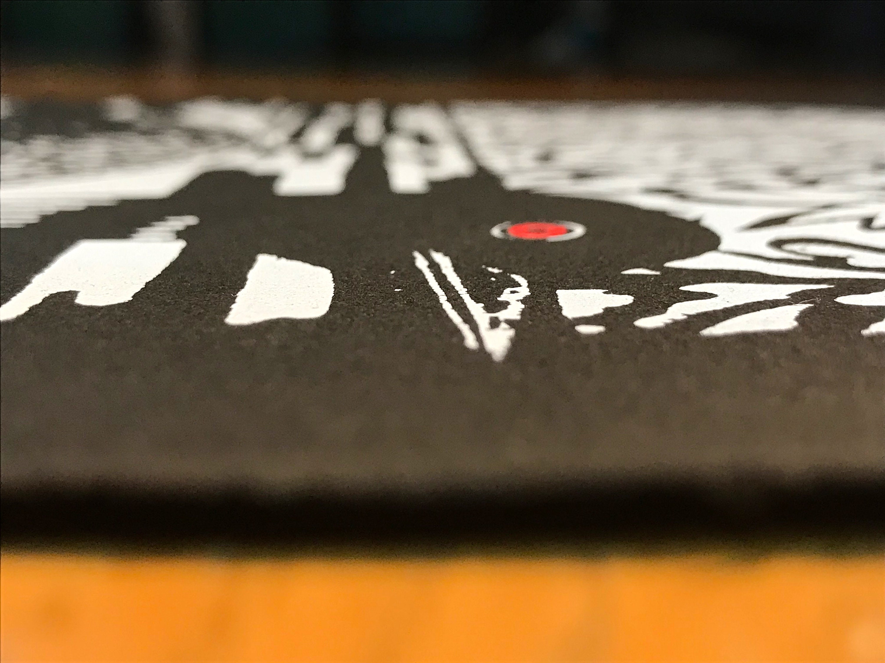 Loon Poster Screenprint - Etsy