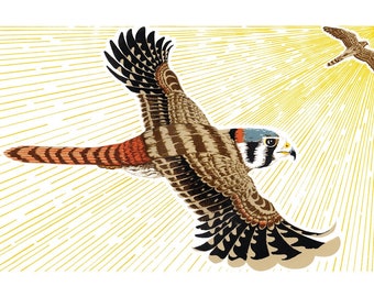 Kestrels Art Print, 12x18,  Screenprint, Hand Printed Bird Art