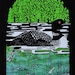 Loon Poster Screenprint - Etsy