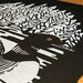 Loon Poster Screenprint - Etsy