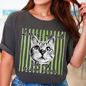 May include: A charcoal gray short-sleeve t-shirt featuring a graphic of a cat face centered over vertical lime green and dark green stripes. The text "Sorry, my cat ate my lesson plans" is printed in a black script font above and below the cat.