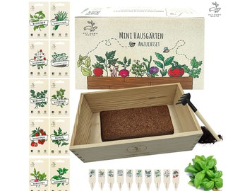 Mini Hausgärten Anzuchtset mit holzkiste und 10 pflanzen samen: kinder anzuchtset pflanzen mit gemüse samen –mini gewächshaus