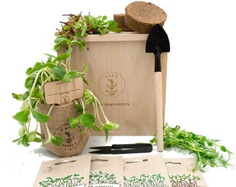 MIKROGRÜN ANZUCHTSET 4 Pflanzen Samen-garten Starter-Set öko-Saatgut mit Holzkiste mit deckel