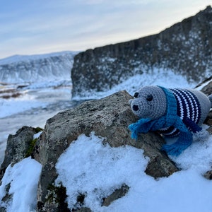 Hrólfur the harbor seal - crochet pattern/amigurumi pattern (PDF) - English, German, Icelandic