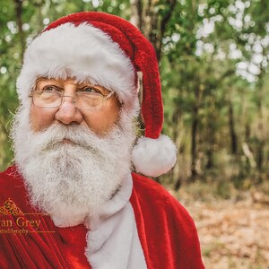 Santa Claus Portrait