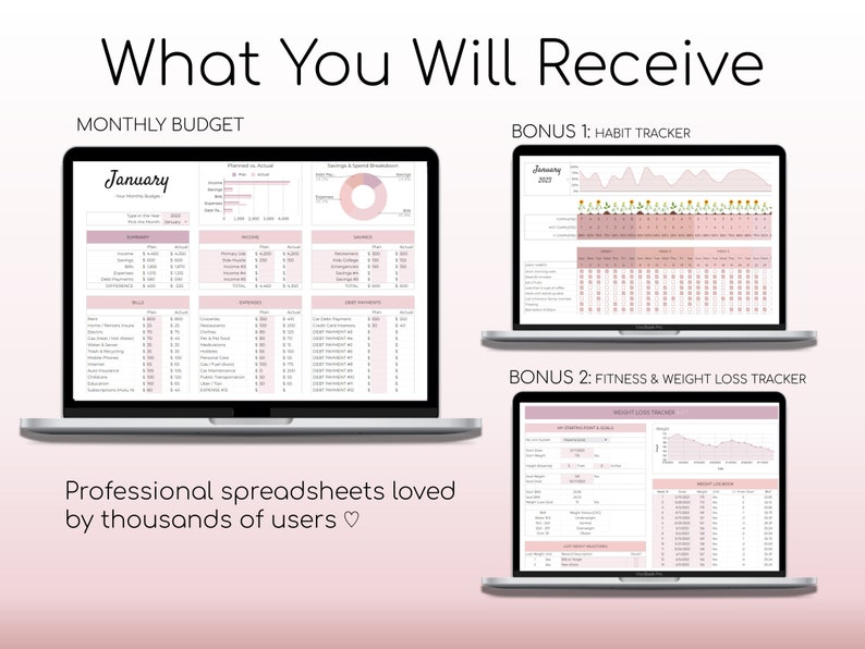 Monthly Budget Spreadsheet Simple Annual Budget Personal Finances Google Sheets Financial Planner Habit Tracker Fitness Tracker image 9