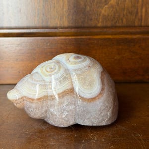 Lace Amethyst Shell Carving, 3.25 Inch Purple Crystal, Mexico Coastal Decor