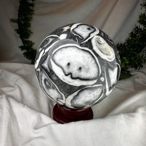 Stunning 6LB Thousand Eye Shell Jasper Sphere – Fossil Marble Orb with Bold Black, White & Gray – Ancient Marine Stone on Rotating Stand