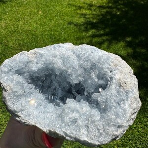 May include: A light blue celestite geode with a crystalline interior. The geode is held against a backdrop of green grass. The outer layer is a light grey colour, and the crystals inside are a translucent blue.