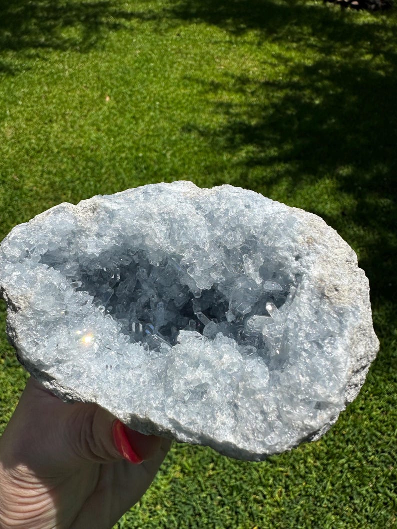 May include: A light blue celestite geode with a crystalline interior. The geode is held against a backdrop of green grass. The outer layer is a light grey colour, and the crystals inside are a translucent blue.