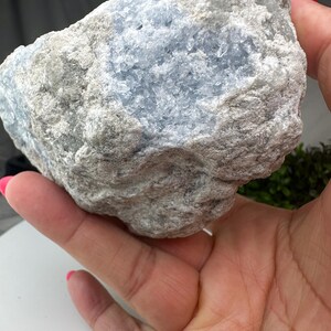 May include: A large celestite crystal, featuring a pale blue interior and a grey exterior. The rough-textured stone is held in a hand, highlighting its natural form and colour variations. The crystal appears to be a raw, uncut specimen.