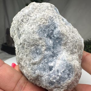 May include: A light grey celestite crystal cluster with areas of pale blue crystals. The natural stone is held in a hand, displaying its textured surface and crystalline formations. The overall shape is irregular and organic.