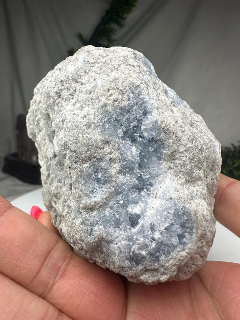 May include: A light grey celestite crystal cluster with areas of pale blue crystals. The natural stone is held in a hand, displaying its textured surface and crystalline formations. The overall shape is irregular and organic.