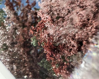 Garden Quartz Freeform: Fall Forest Scene Crystal, Polished Lodolite Accent