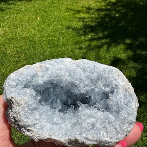 May include: A light blue celestite geode with a rough, grey exterior. The interior is filled with sparkling, light blue crystal formations. The geode is held in a hand against a backdrop of green grass.