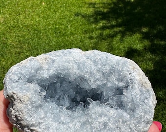 May include: A light blue celestite geode with a rough, gray exterior. The interior is filled with sparkling, light blue crystal formations. The geode is held in a hand against a backdrop of green grass.