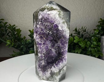 May include: A large, polished amethyst crystal point. The crystal features a deep purple interior with a crystalline structure, encased in a gray and white exterior. The crystal is displayed on a white surface with green foliage in the background.