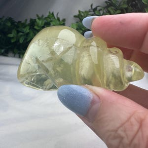 May include: A yellow crystal carved into the shape of a seashell. The crystal is translucent and has a smooth, polished surface.