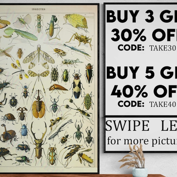 Insects Vintage Science Print 1909 - Adolphe Millot Poster Insect Poster Home Decor Larousse Illustrations Gift Idea  - VP038