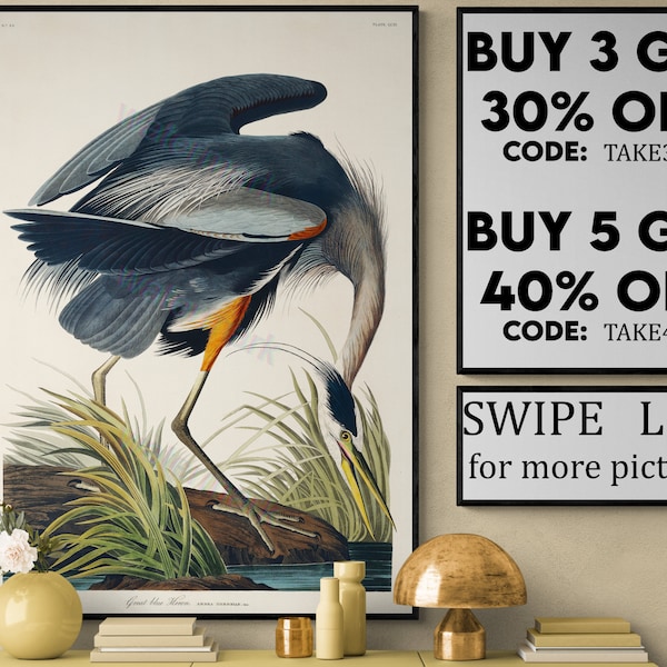 Great blue Heron Print, Audubon Birds vintage illustrations book page Prints, Nautical Living Room vintage art, Audubon Bird Posters VP178