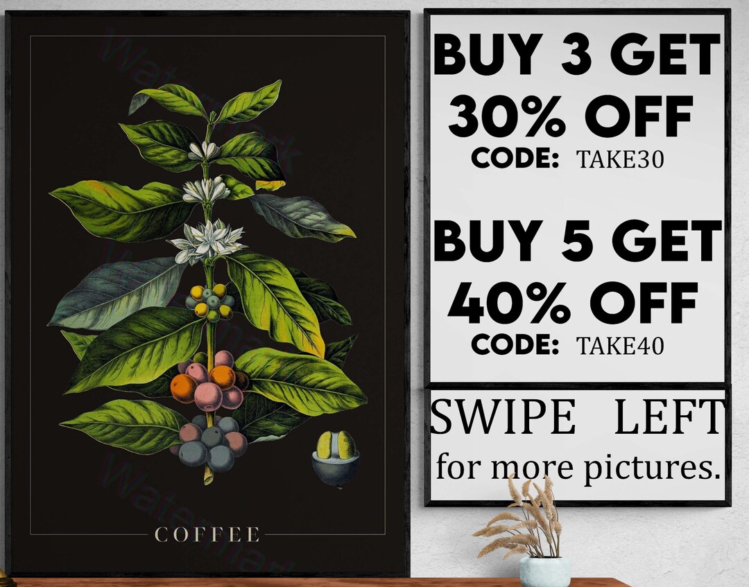 Vintage Coffee Plant Botanical Poster Vintage Kitchen Decor Food Poster