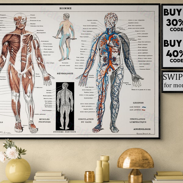 Vintage Illustration of The Human Body, Diagram Art Print, Vintage Skeleton Picture Poster Larousse, Pierre; Augé and Claude VP167