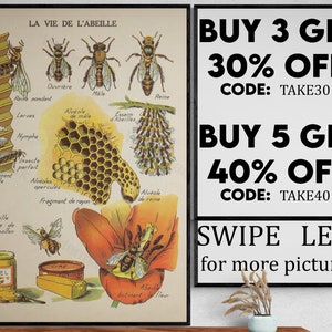 Antique Bee Print • Vintage French Honey Bee Wall Art • Sepia Toned Bee Diagram • Kitchen Art • Insects - VP108