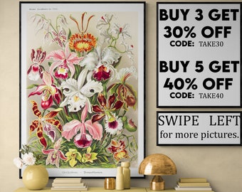 Orchid PRINT Ernst Haeckel Orchid print Botanical Art Antique Colored Tropical Orchids Colorful Picture to Frame Orchids Illustration VP130