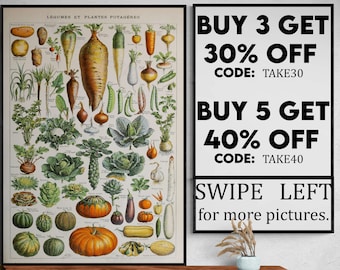 Vintage Vegetable Print 1909 - Adolphe Millot Poster Home Decor Botanical Print Vegetable Poster Science Birthday Gift Idea - VP004