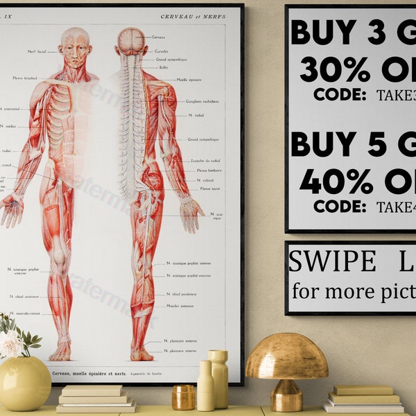 Vintage Illustration of The Human Body, Diagram Art Print, Vintage Skeleton Picture Poster Larousse, Pierre; Augé and Claude VP168