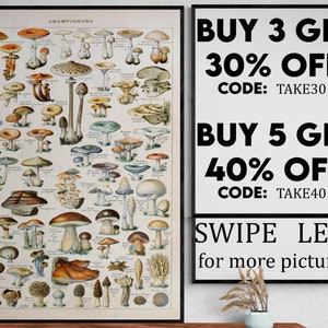Mushroom Science Illustration 1909 - Adolphe Millot Poster Botanical Print Mushroom Print Mushroom Poster Larousse Poster Gift - VP005