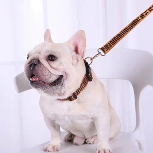 LV Dog Collar & Leash Set (Small/Medium Breed) — Frostytch