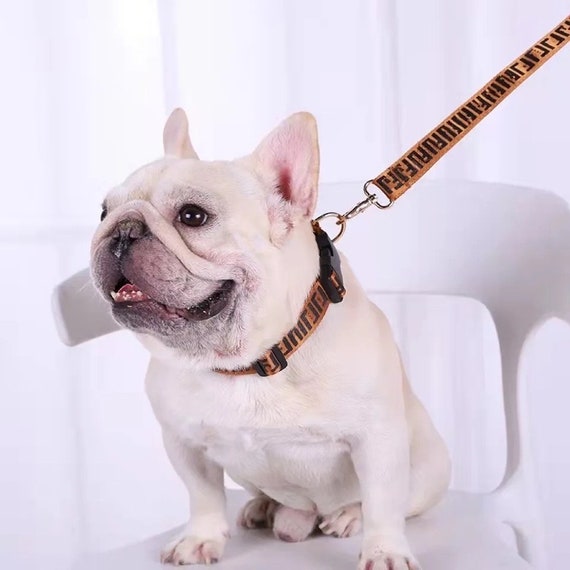 Stylish Luxury Dog Leash Collar and Harness 
