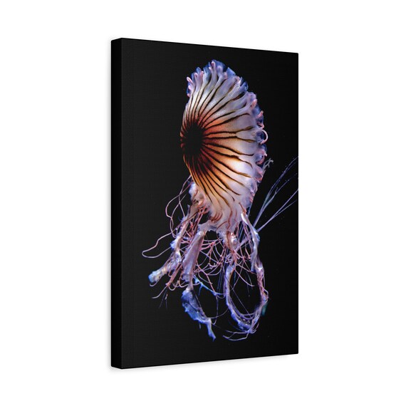 Bioluminescent Jellyfish Canvas Art, Deep Sea Luxury Print