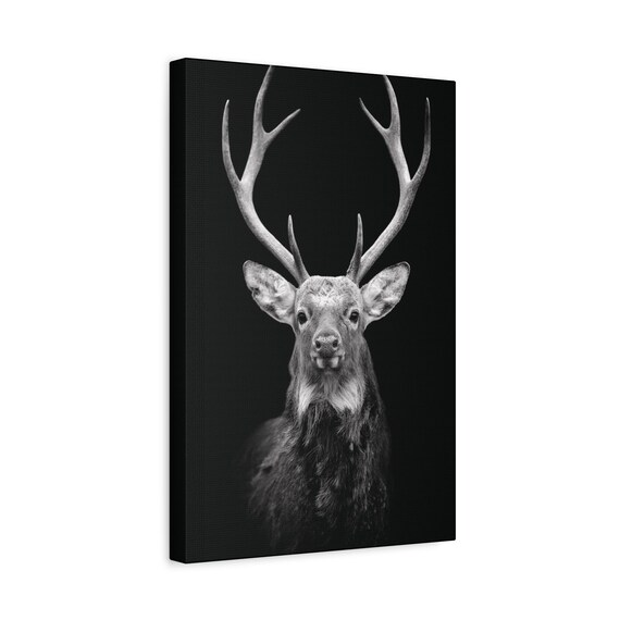 Majestic Stag Canvas Print, Black and White Wildlife Portrait, Modern Home Decor