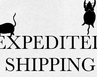 EXPRESS Option l Purchase with any item in our store to cut the processing time & receive a faster shipping option