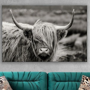 Scottish Highland, Cattle ,Modern Wall Art,living room decor,Scottish Cow decor,Animal Wall Deco,Canvas Art Print